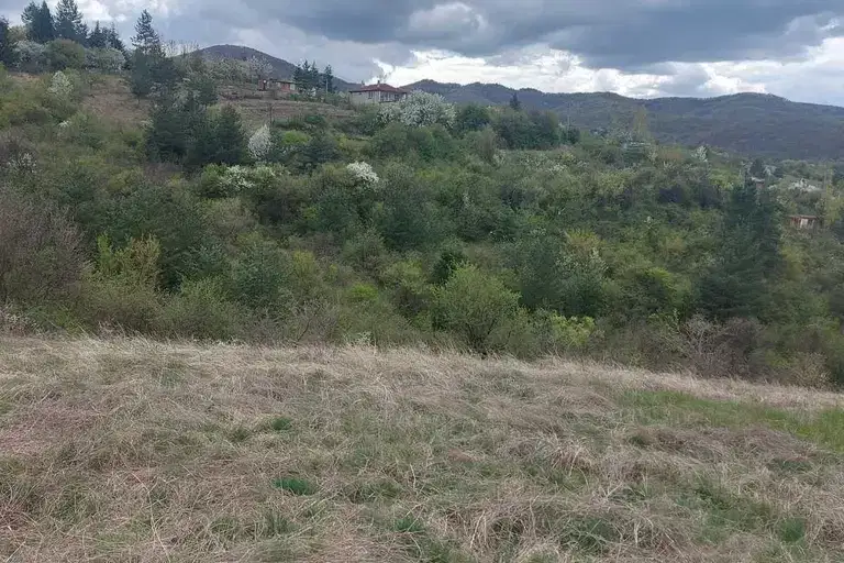 Plot in Klisura