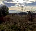 Снимка 4 — Парцел в с. Войнеговци