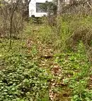 Парцел в Банкя