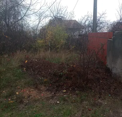 Photo 4 — Plot in Novi Iskyr