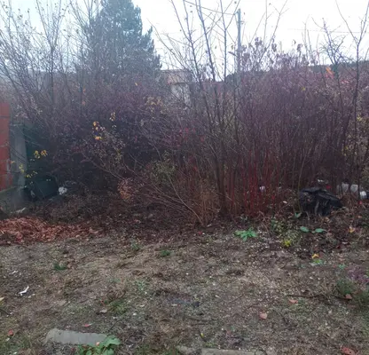 Photo 5 — Plot in Novi Iskyr