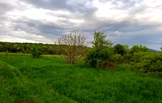 Парцел в с. Бистрица