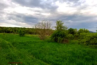 Парцел в с. Бистрица