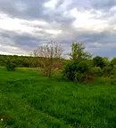 Парцел в с. Бистрица