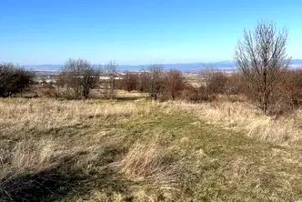 Парцел в с. Лозен