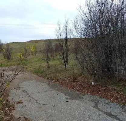 Photo 3 — Plot in Yana