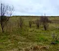 Снимка 4 — Парцел в с. Яна