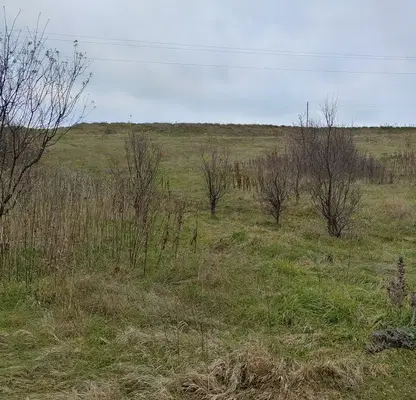 Photo 4 — Plot in Yana