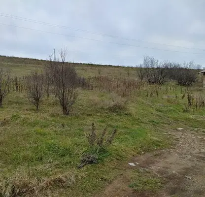 Photo 5 — Plot in Yana