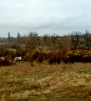 Парцел в с. Яна