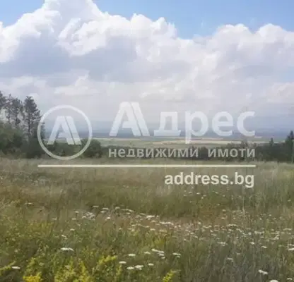 Снимка 5 — Парцел в с. Войнеговци
