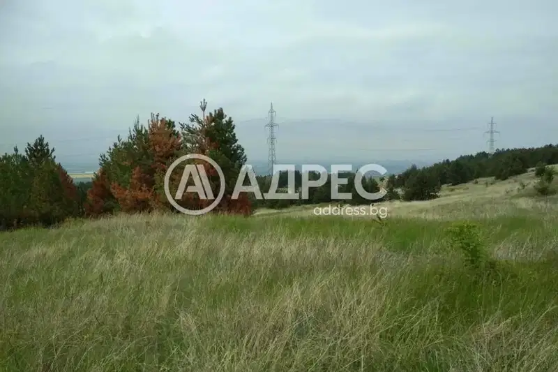 Парцел в с. Войнеговци