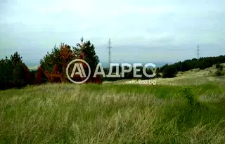 Парцел в с. Войнеговци