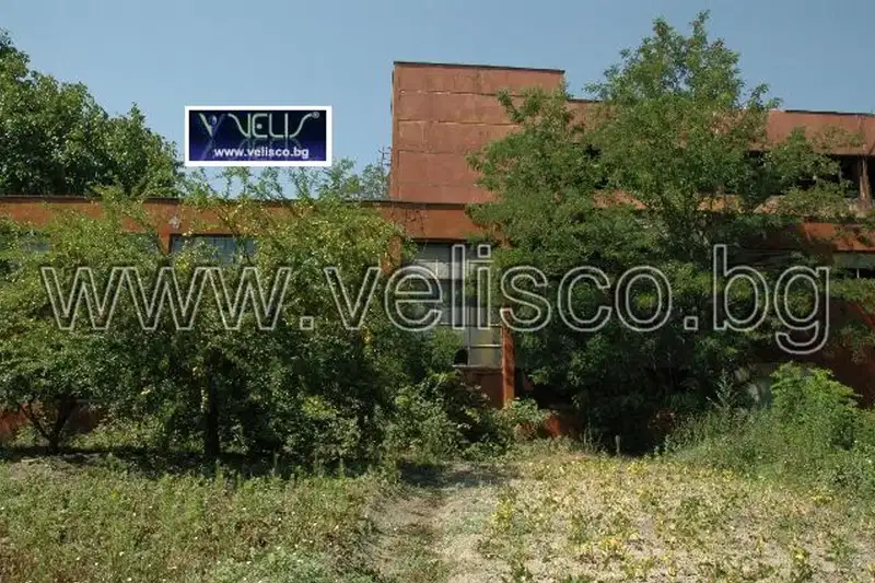 Plot in Zvezdica