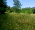 Снимка 2 — Парцел в с. Долни Пасарел