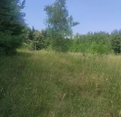Снимка 2 — Парцел в с. Долни Пасарел