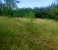 Снимка 4 — Парцел в с. Долни Пасарел