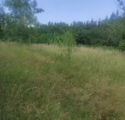 Снимка 4 — Парцел в с. Долни Пасарел