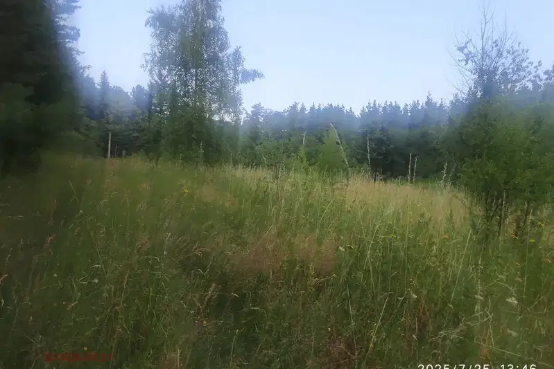 Парцел в с. Долни Пасарел