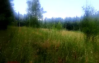 Парцел в с. Долни Пасарел