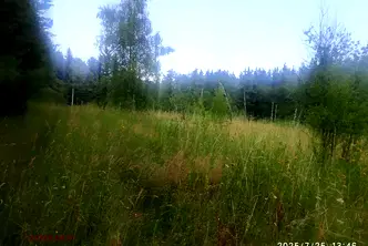 Парцел в с. Долни Пасарел