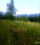 Парцел в с. Долни Пасарел