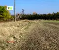 Снимка 4 — Парцел в с. Световрачене