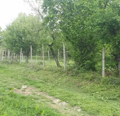 Photo 5 — Plot in Studentski