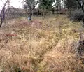 Снимка 3 — Парцел в Банкя