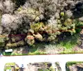Снимка 2 — Парцел в с. Тополи