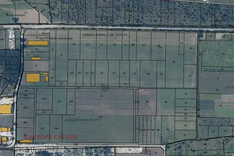 Plot in Topoli