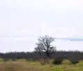 Снимка 3 — Парцел в с. Димчево