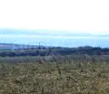 Снимка 4 — Парцел в с. Димчево