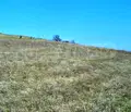 Снимка 5 — Парцел в с. Димчево