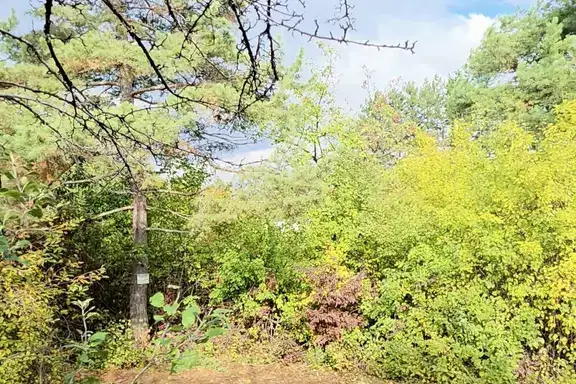 Парцел в с. Панчарево