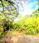 Парцел в с. Панчарево