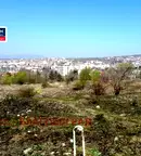 Парцел в Благоев, Ален мак
