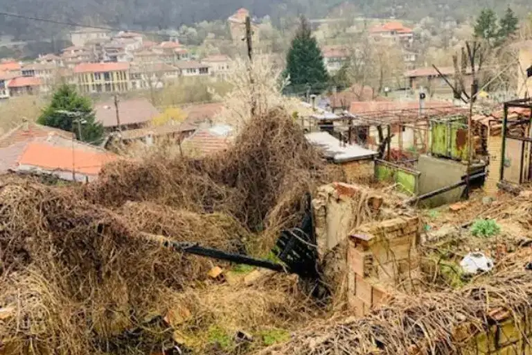Plot in Veliko Tyrnovo, Asenov
