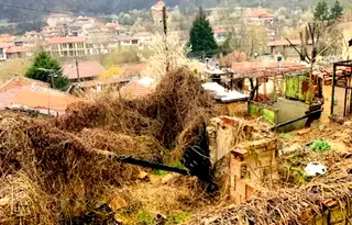 Парцел във Велико Търново, Асенов