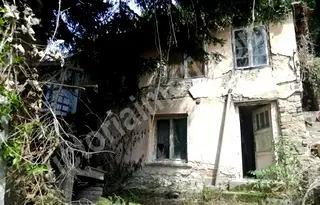 Парцел във Велико Търново, Асенов