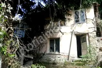 Парцел във Велико Търново, Асенов