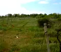 Снимка 4 — Парцел във Варна, Аспарухово