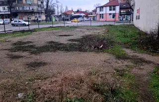 Парцел във Видин, Баба Тонка