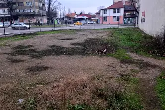 Парцел във Видин, Баба Тонка