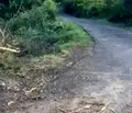 Снимка 4 — Парцел в Кърджали, Байкал