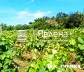Снимка 3 — Парцел в Благоев, Баларбаши