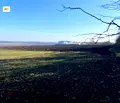 Снимка 3 — Парцел в Добрич, Балик