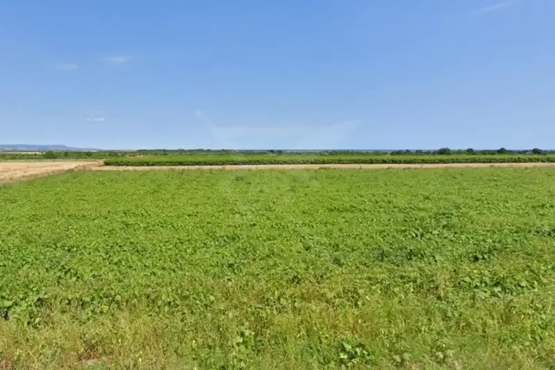 Парцел в Бургас, Банево