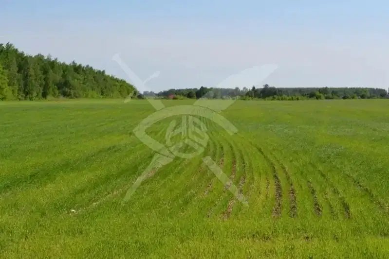 Парцел в Бургас, Банево
