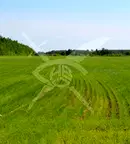 Парцел в Бургас, Банево
